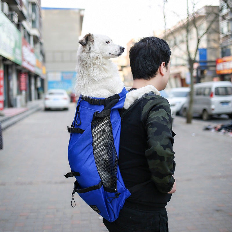Pet Carrier Backpack Travel Bag