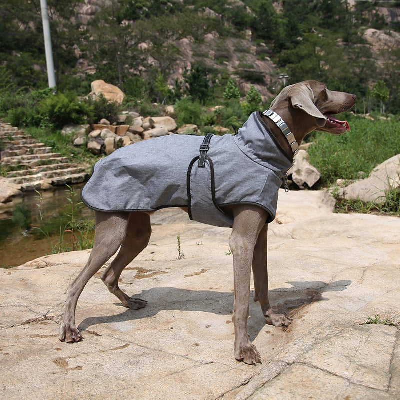 Winter Pet Two-Piece Shell Jacket