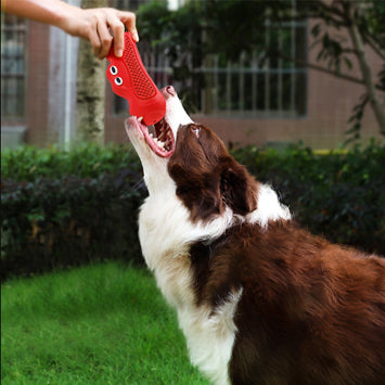 Pet Vocal Rubber Teething Chew Ball Toy