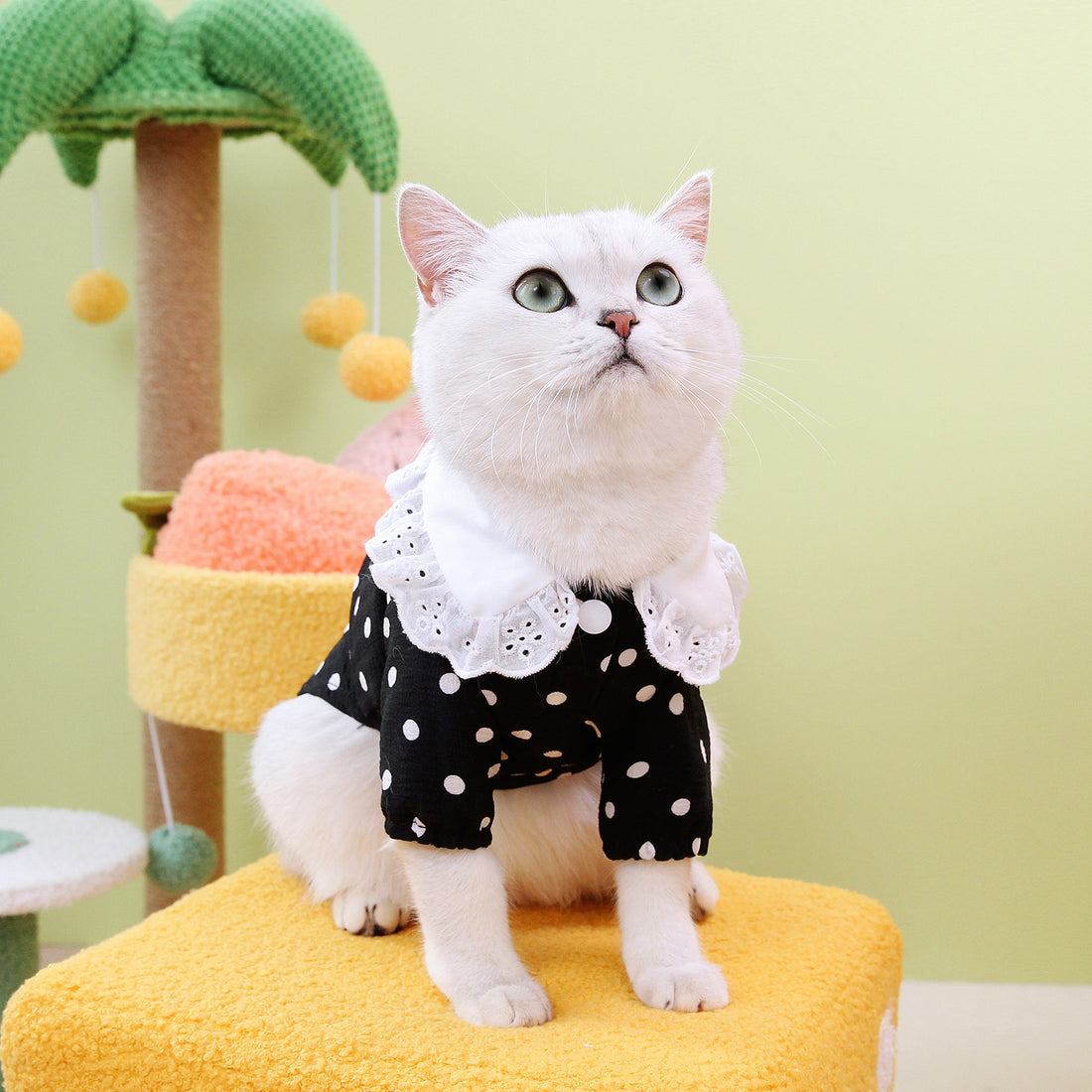 Lightweight Fringe-collar Pet Shirt