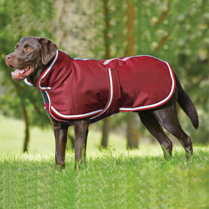 Large Dog Autumn/Winter Waterproof Jacket
