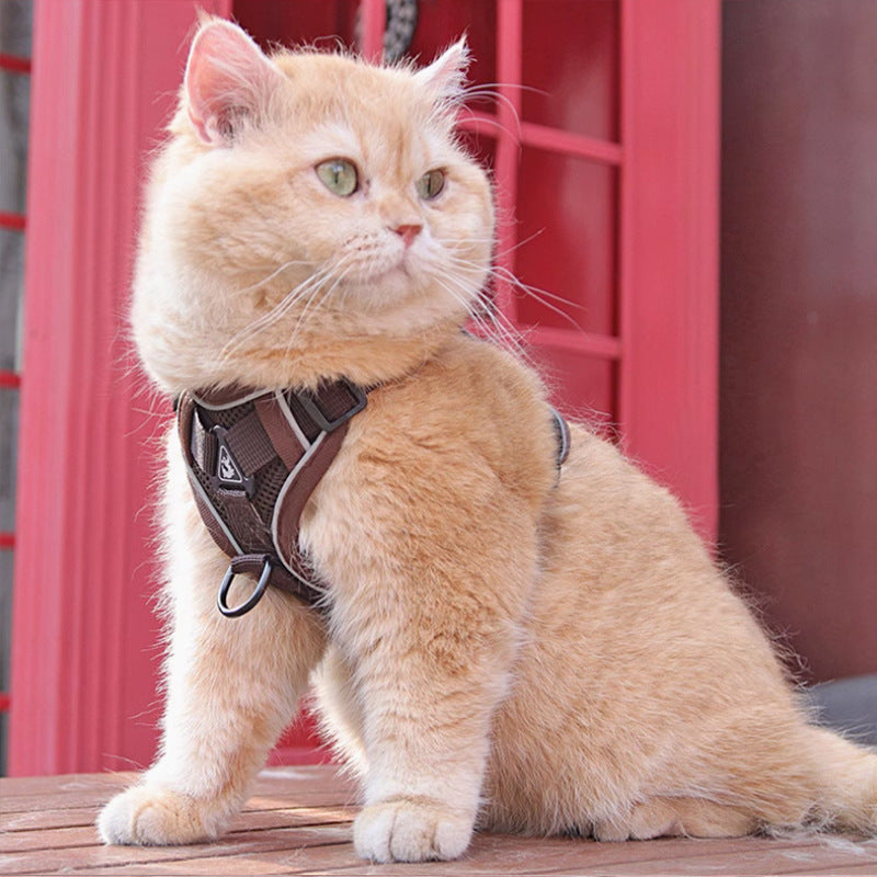 Pet Harness Vest Chest Strap With Leash Set