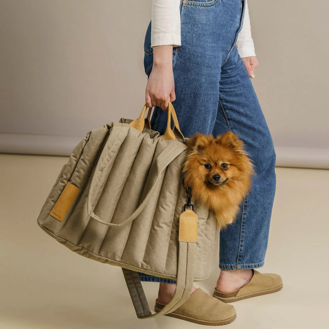 Waterproof Lightweight Portable Pet Carrier Handbag Travel Accessory