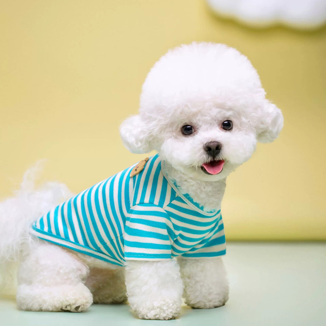 Summer Breathable Pet T-Shirt