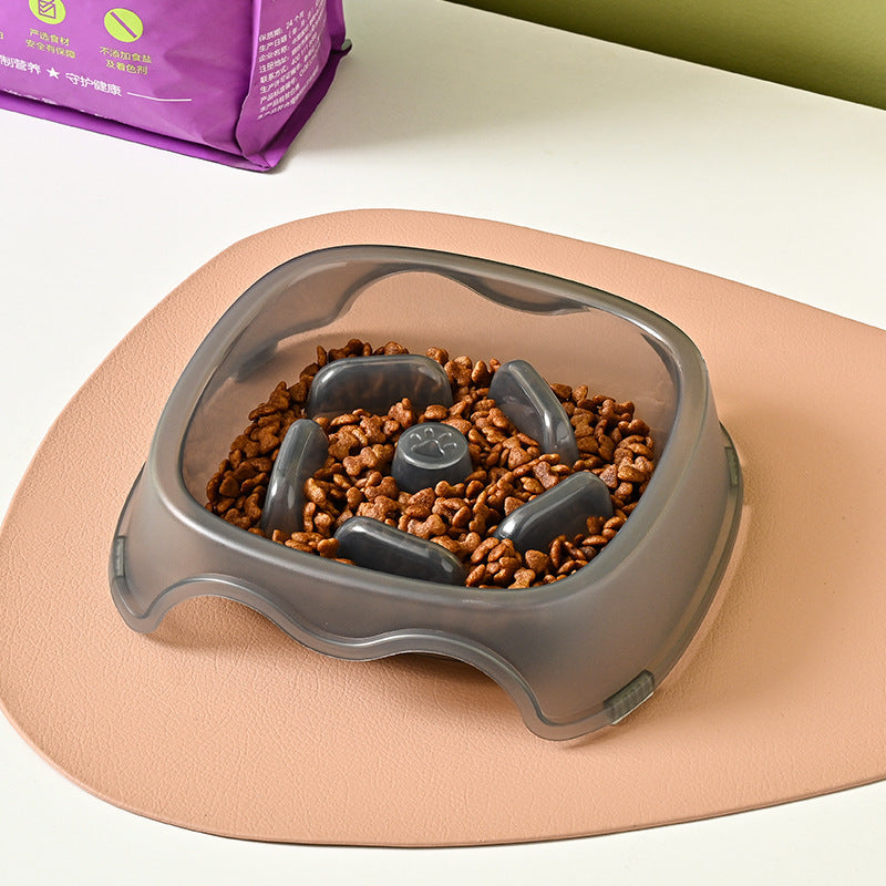 Pet Slow Feeding Anti Choking Water And Food Bowl Plastic Feeder