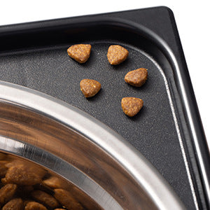 Pet Elevated Feeding Bowl Neck Support Anti Spill Stand
