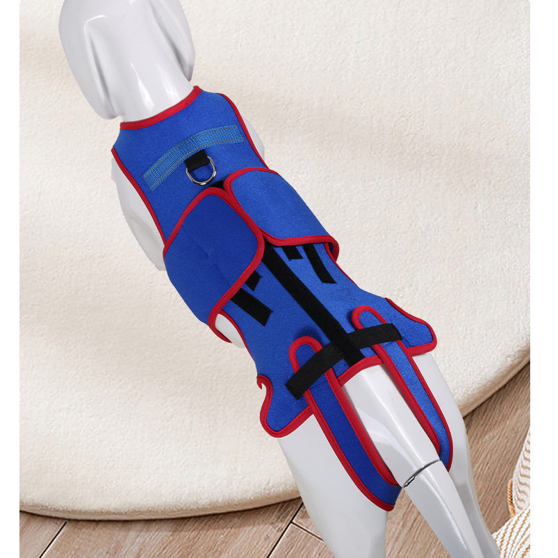 Pet Spine Support/Posture Correction Jacket