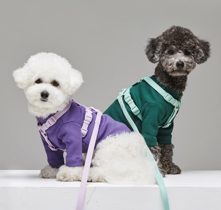 Macaron Style Pet Fashion Control Leash Harness