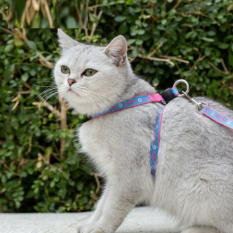 Pet Chest Strap Vest Leash With Bell For Small Pets