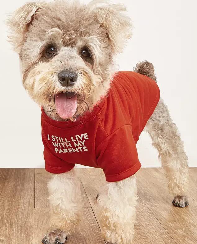 Novelty Pet T-Shirt