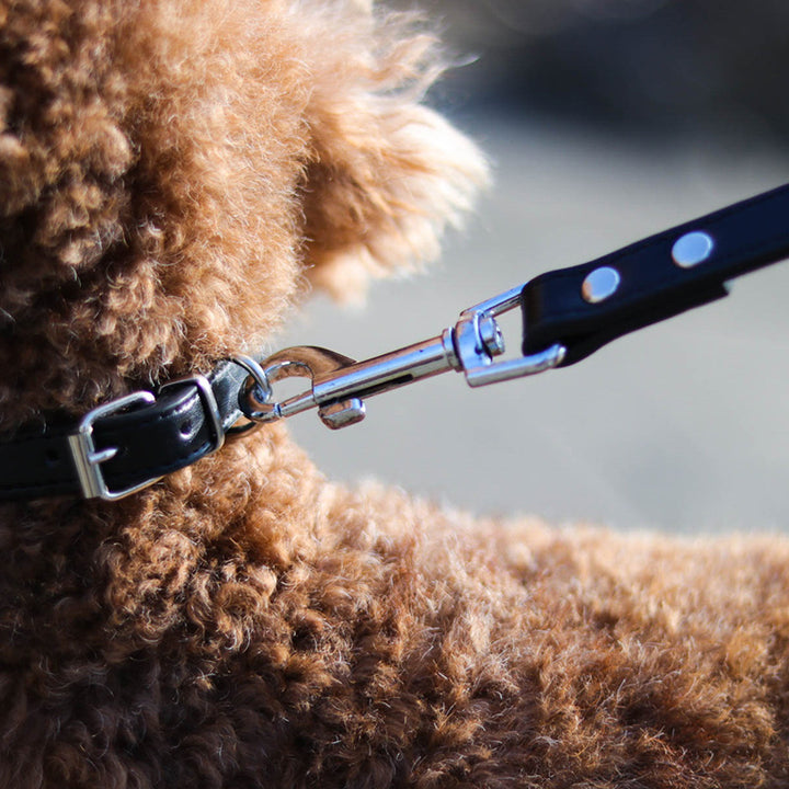 Durable Adjustable Pet Leash And Collar Control Set