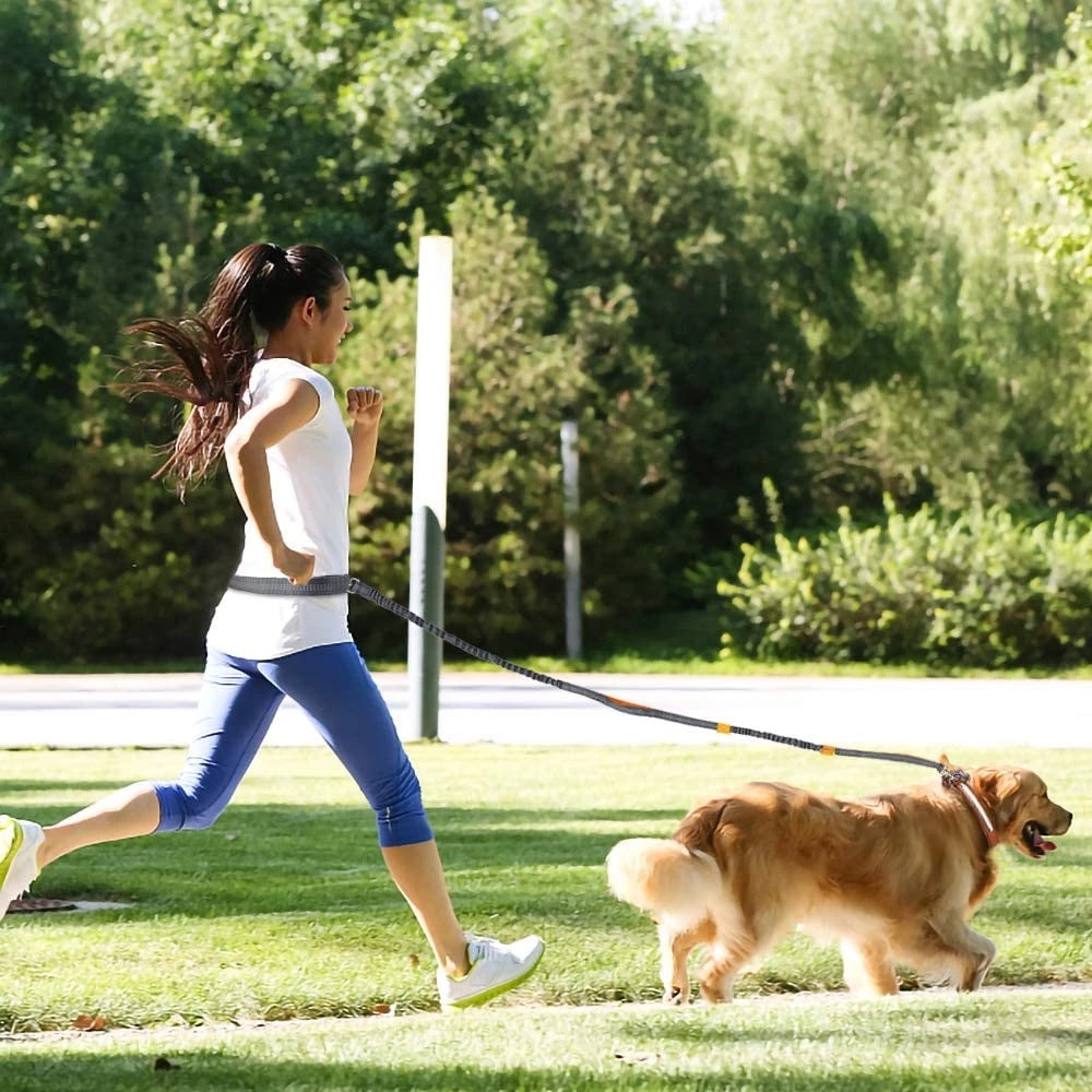 Adjustable Jogging Pet Harness Collar Control Leash