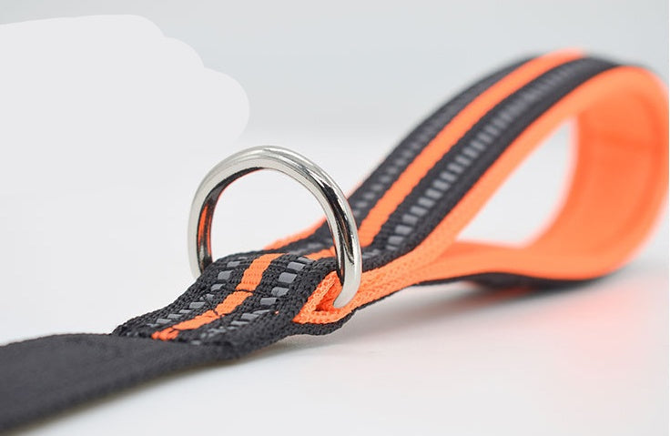 Durable Nylon Pet Retractable Assisted Control Leash