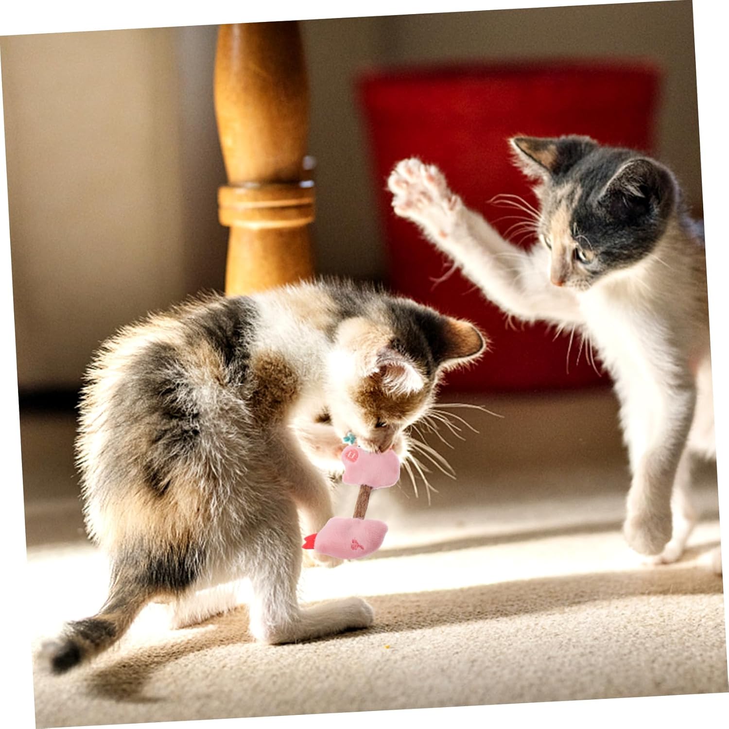 Pet Kitten Teeth Cleaning Chew Stick Interactive Toy Set