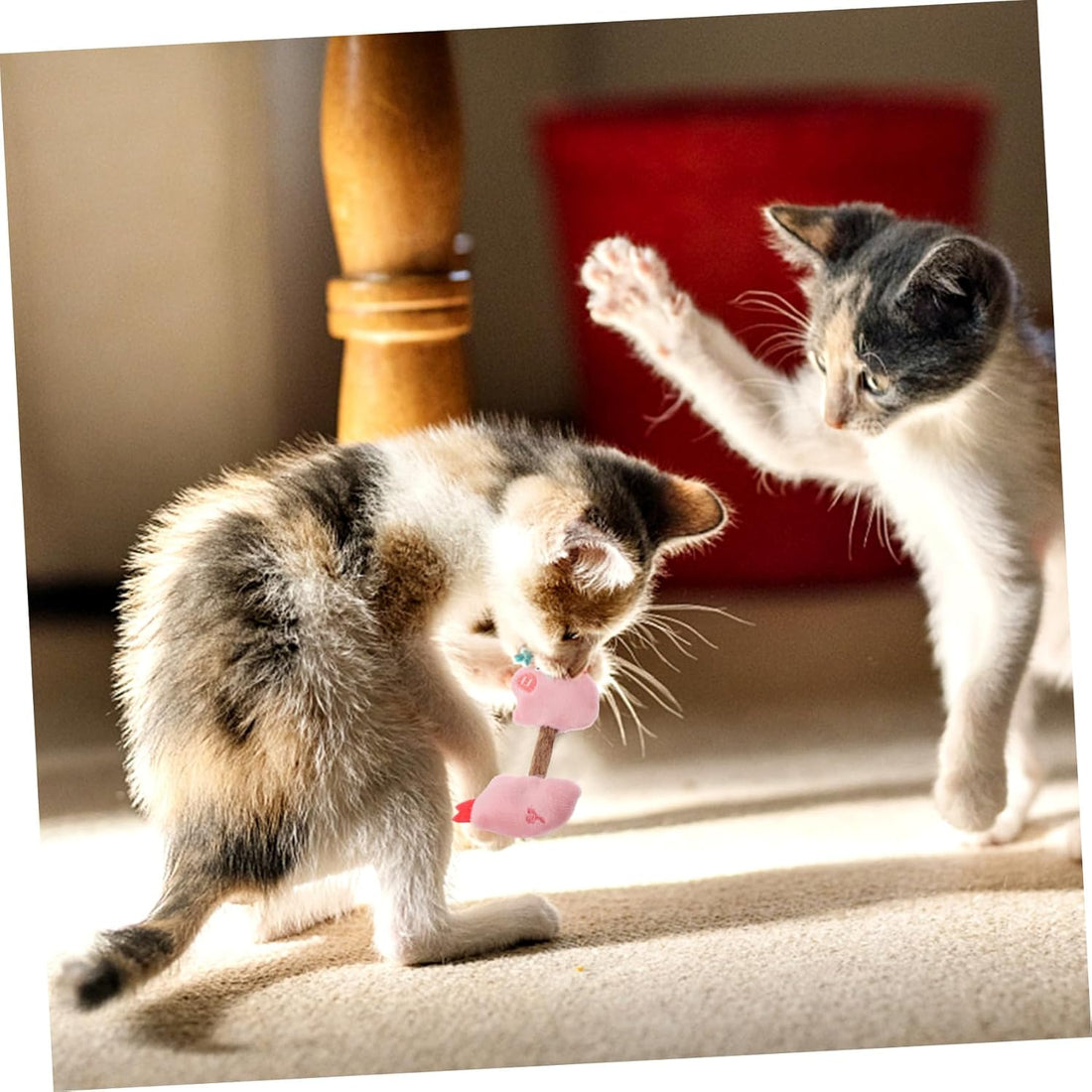 Pet Kitten Teeth Cleaning Chew Stick Interactive Toy Set