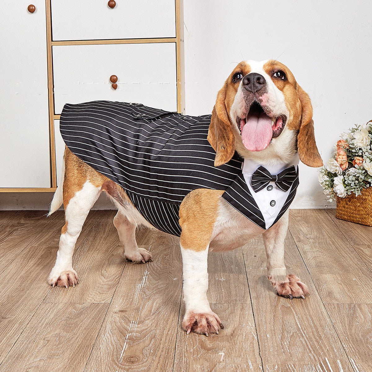 Two-piece Pet Tuxedo Suit Set