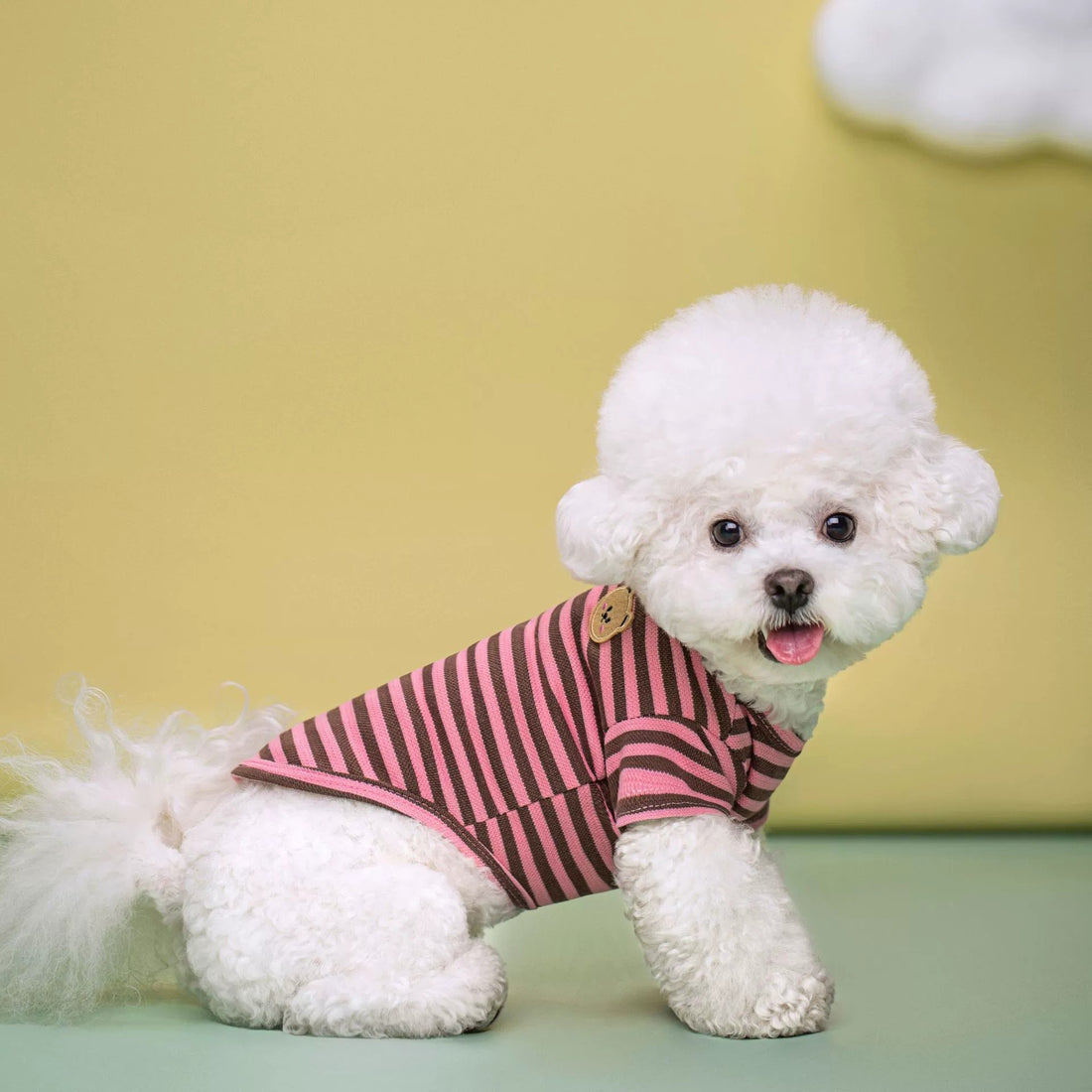 Summer Breathable Pet T-Shirt