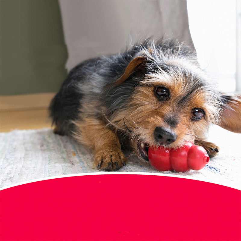 Pet Bite Resistant Rubber Chew Grinding Toy