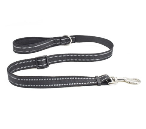 Durable Nylon Pet Retractable Assisted Control Leash