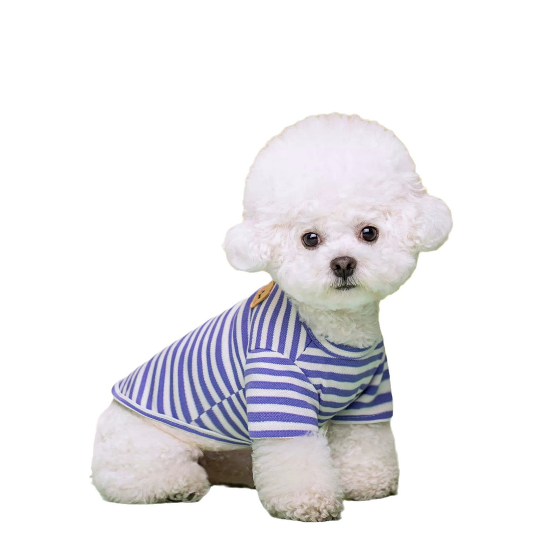Summer Breathable Pet T-Shirt