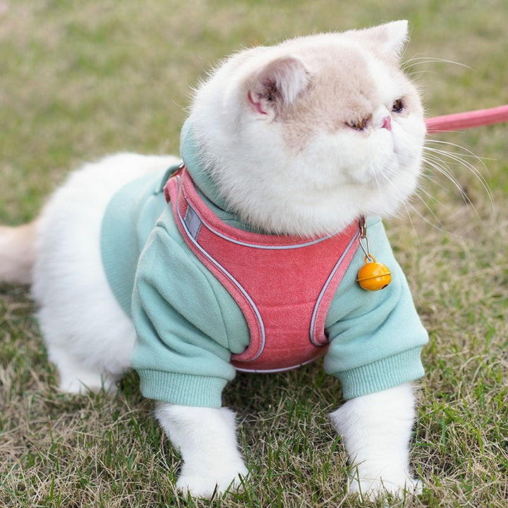 Adjustable Vest Style Pet Chest Harness Leash