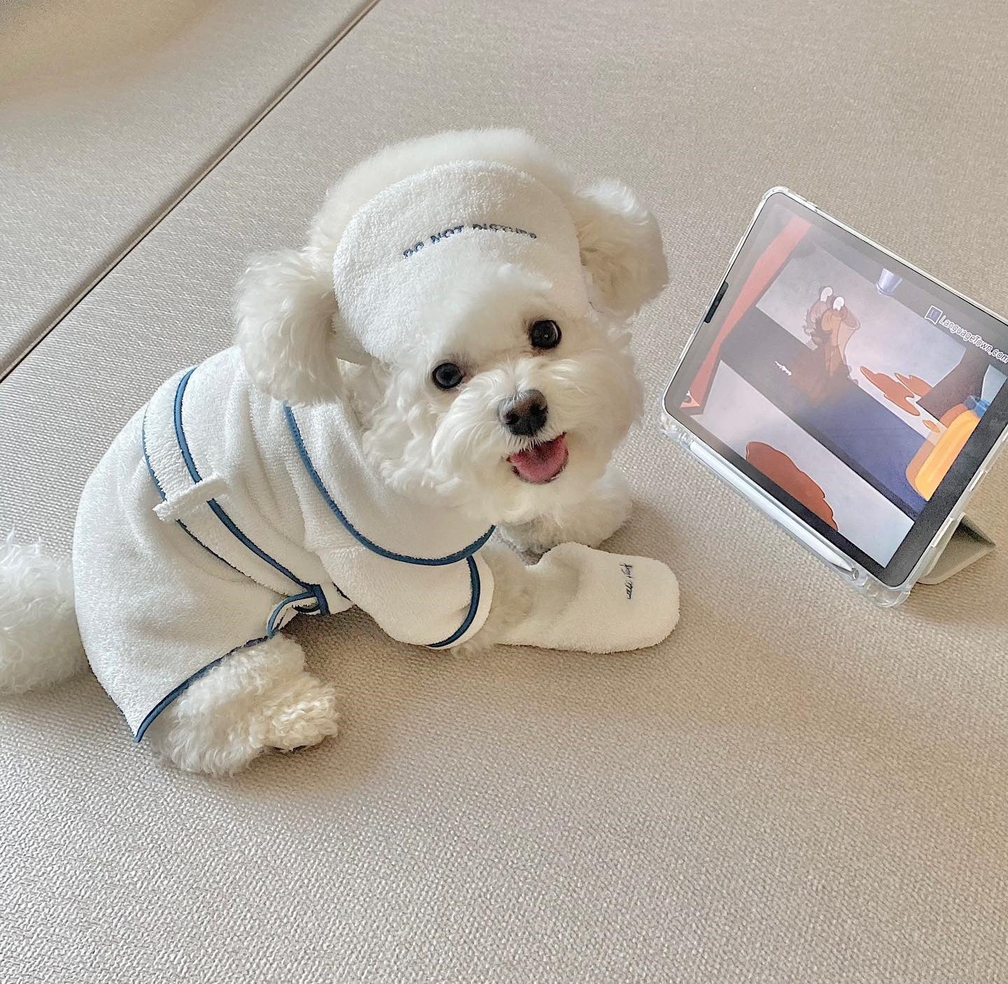 Pet Bath Towel Bathrobe Photo Prop Set