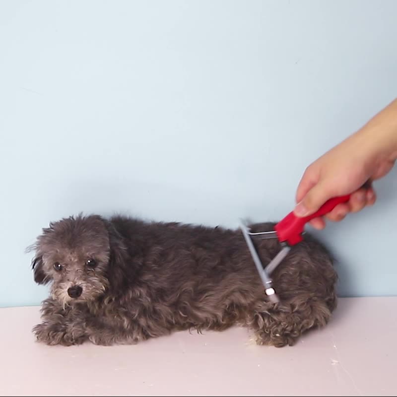 Pet Extra Large Rake Deshedding Grooming Brush Comb Tool