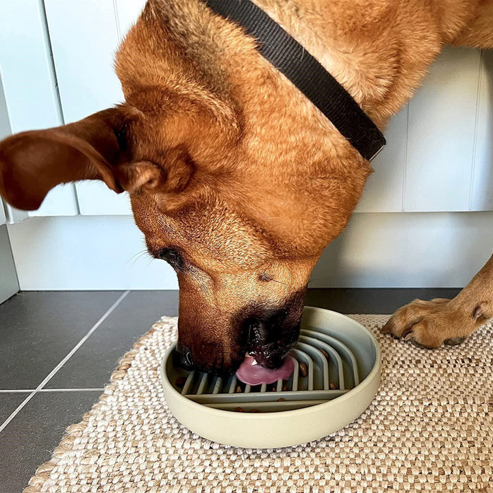 Pet Fashion Simple Slow Feeding Bowl For Pets