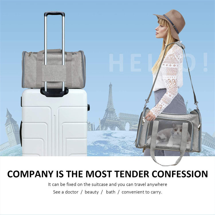 Portable Foldable Handheld Pet Carrier Travel Tote