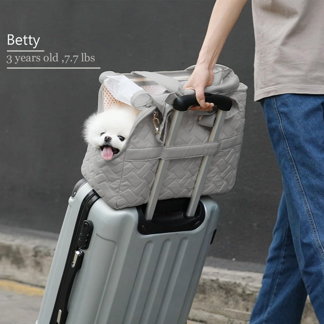 Breathable Cushioned Mesh Pet Carrier Handbag