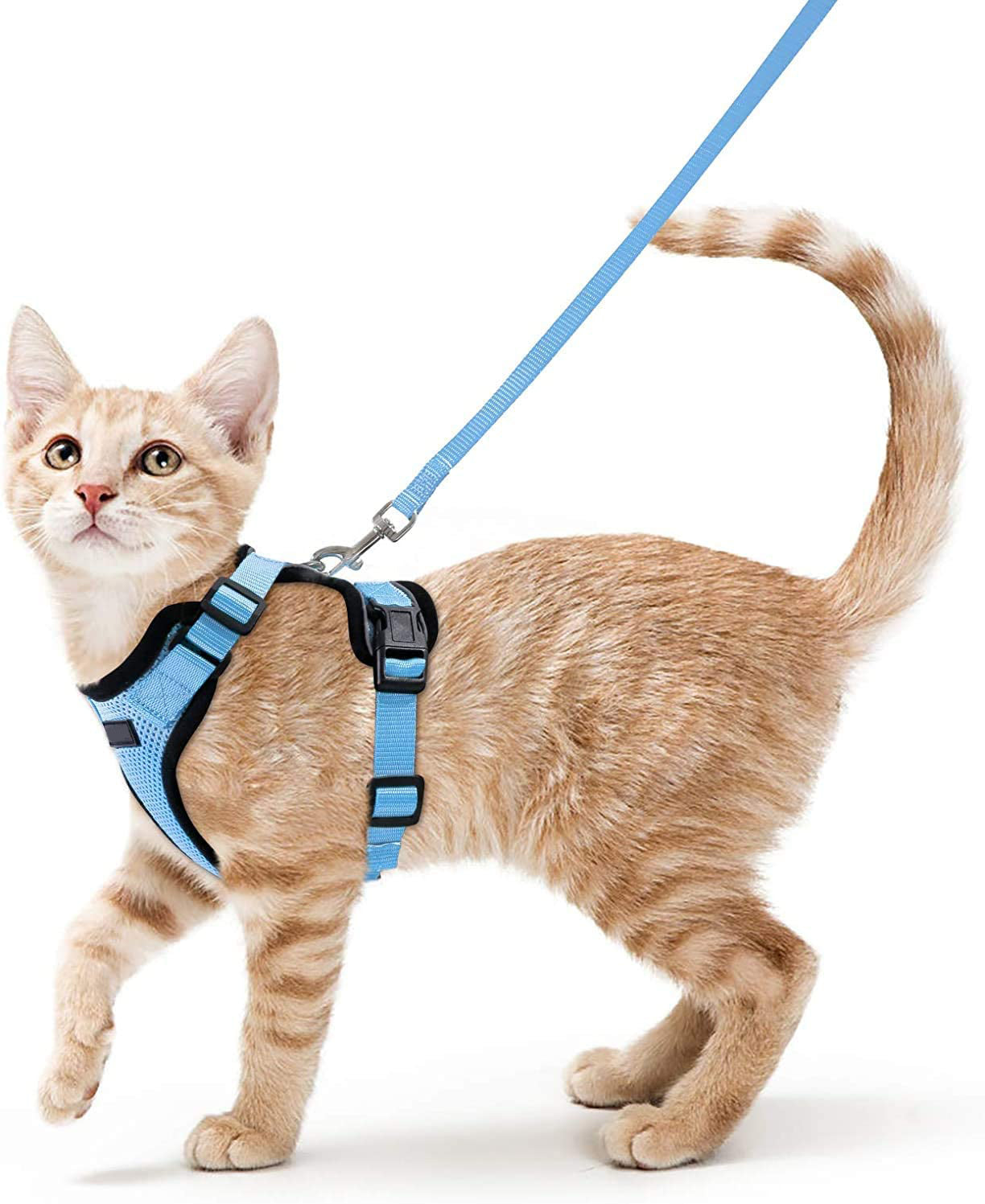 Adjustable Vest Style Pet Anti Escape Harness Leash
