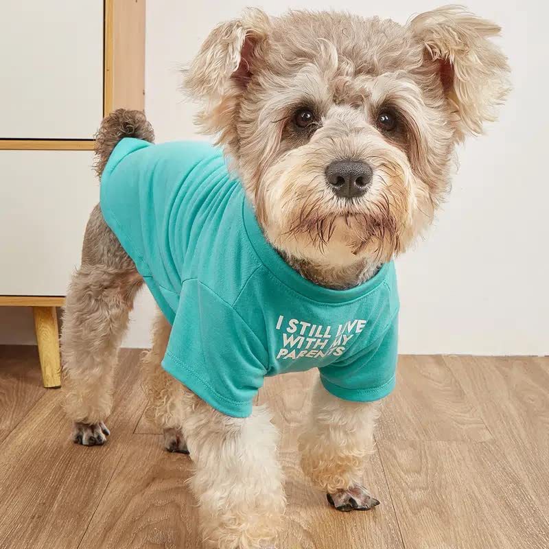 Novelty Pet T-Shirt