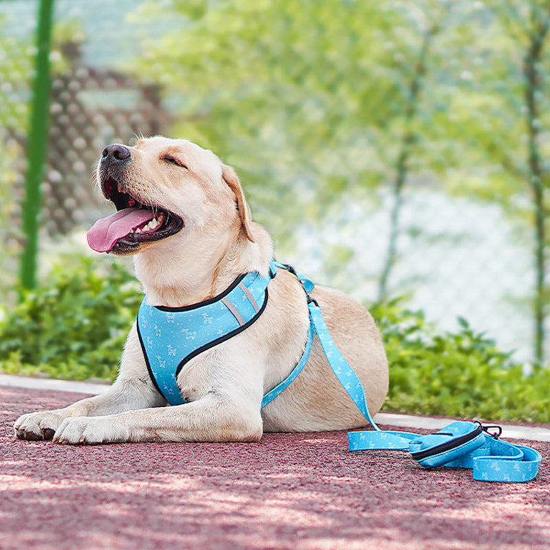 Pet Bow Harness Leash Set