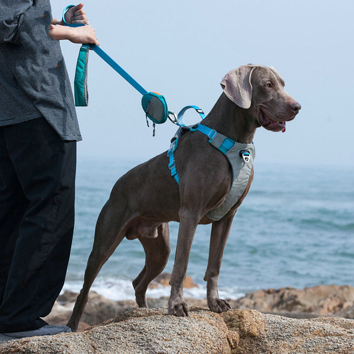 Anti Escape Pet Chest Harness Leash Storage Bag