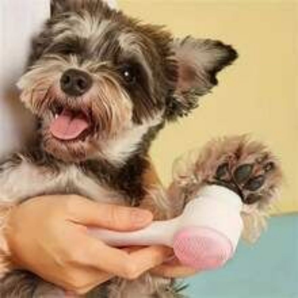 Gentle Nylon Pet Grooming Brush Massage And Cleaning Tool