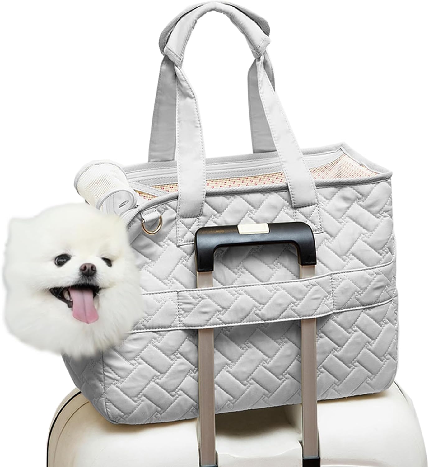 Breathable Cushioned Mesh Pet Carrier Handbag