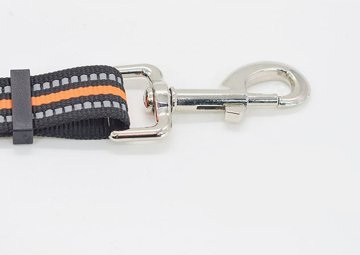 Durable Nylon Pet Retractable Assisted Control Leash
