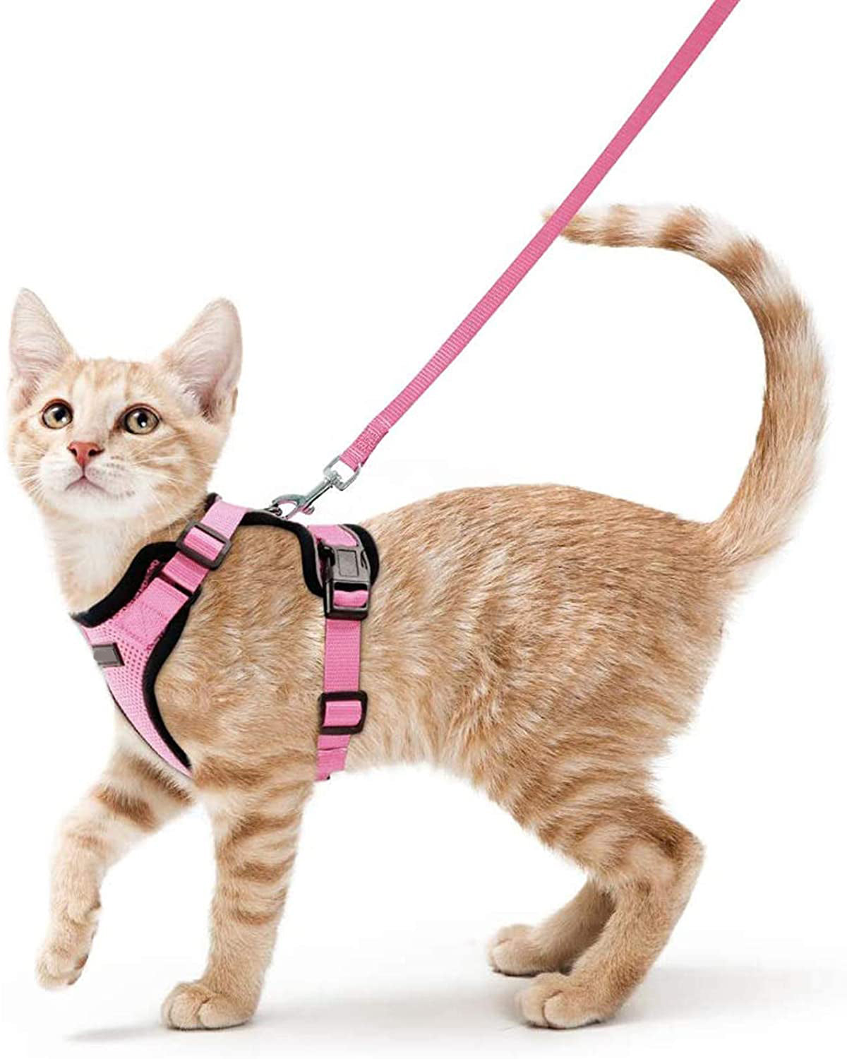 Adjustable Vest Style Pet Anti Escape Harness Leash