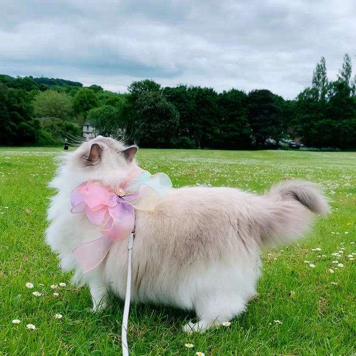 Butterfly Style Retractable Pet Control Leash Anti Escape
