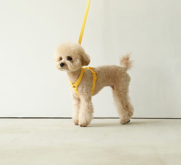 Macaron Style Pet Fashion Control Leash Harness