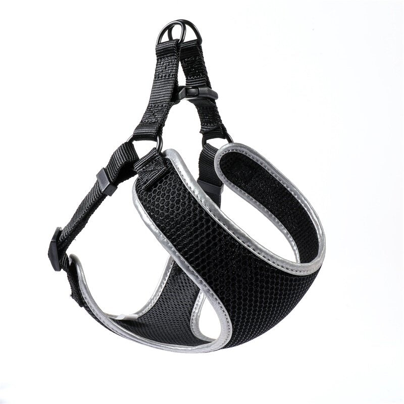 Pet Vest Style Walking Harness With Leash For Outdoor Use