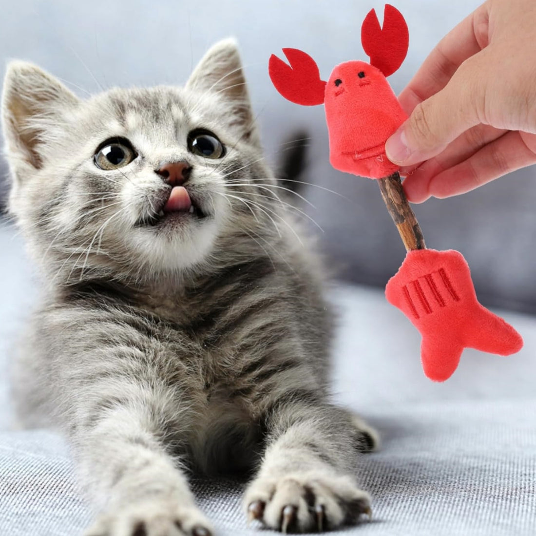 Pet Kitten Teeth Cleaning Chew Stick Interactive Toy Set