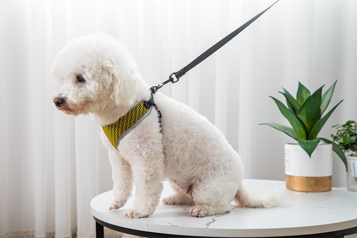 Pet Vest Style Walking Harness With Leash For Outdoor Use