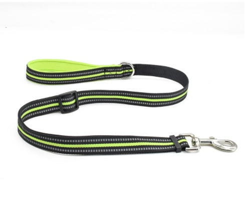 Durable Nylon Pet Retractable Assisted Control Leash