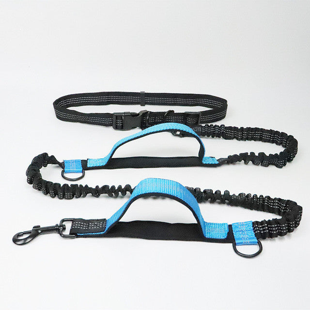Adjustable Jogging Pet Harness Collar Control Leash