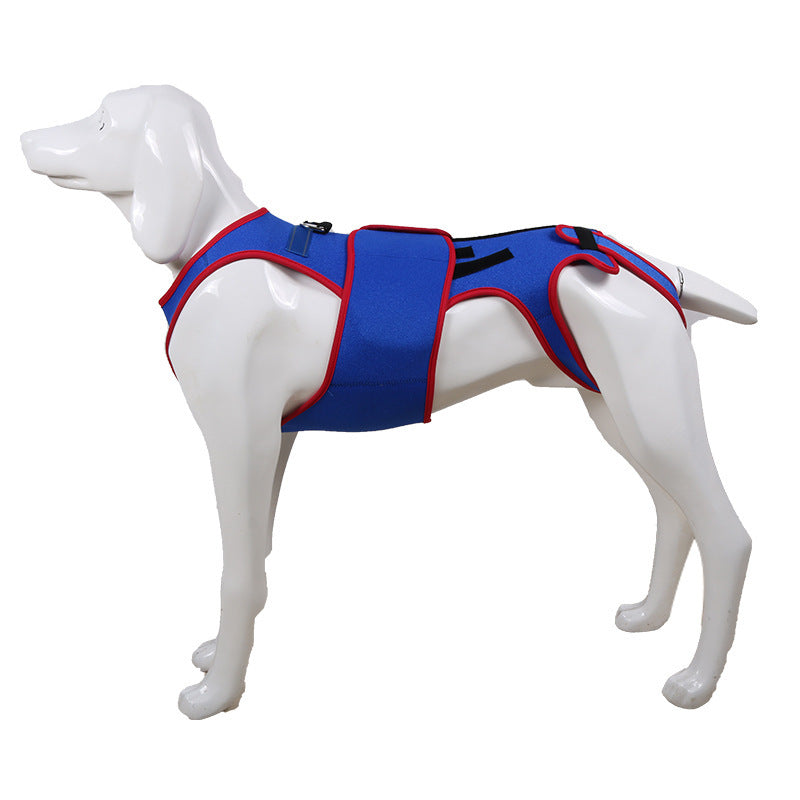 Pet Spine Support/Posture Correction Jacket