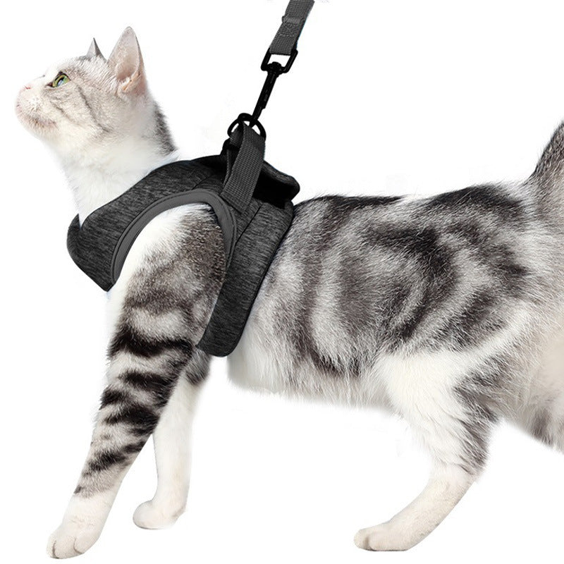 Breathable Lightweight Pet Lace Chest Strap Control Leash