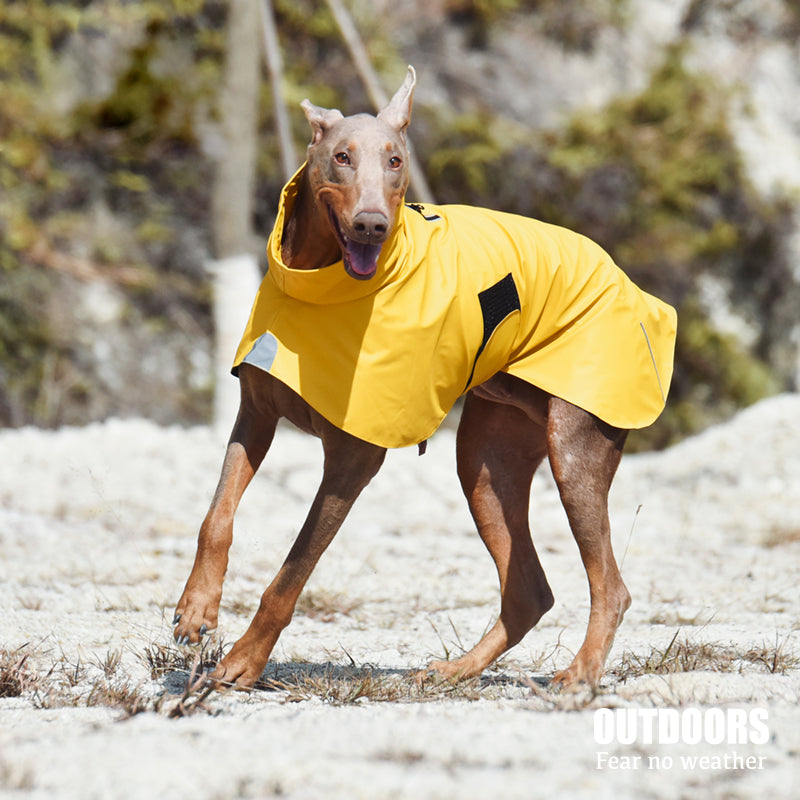 Pet Raincoat Windbreaker Jacket