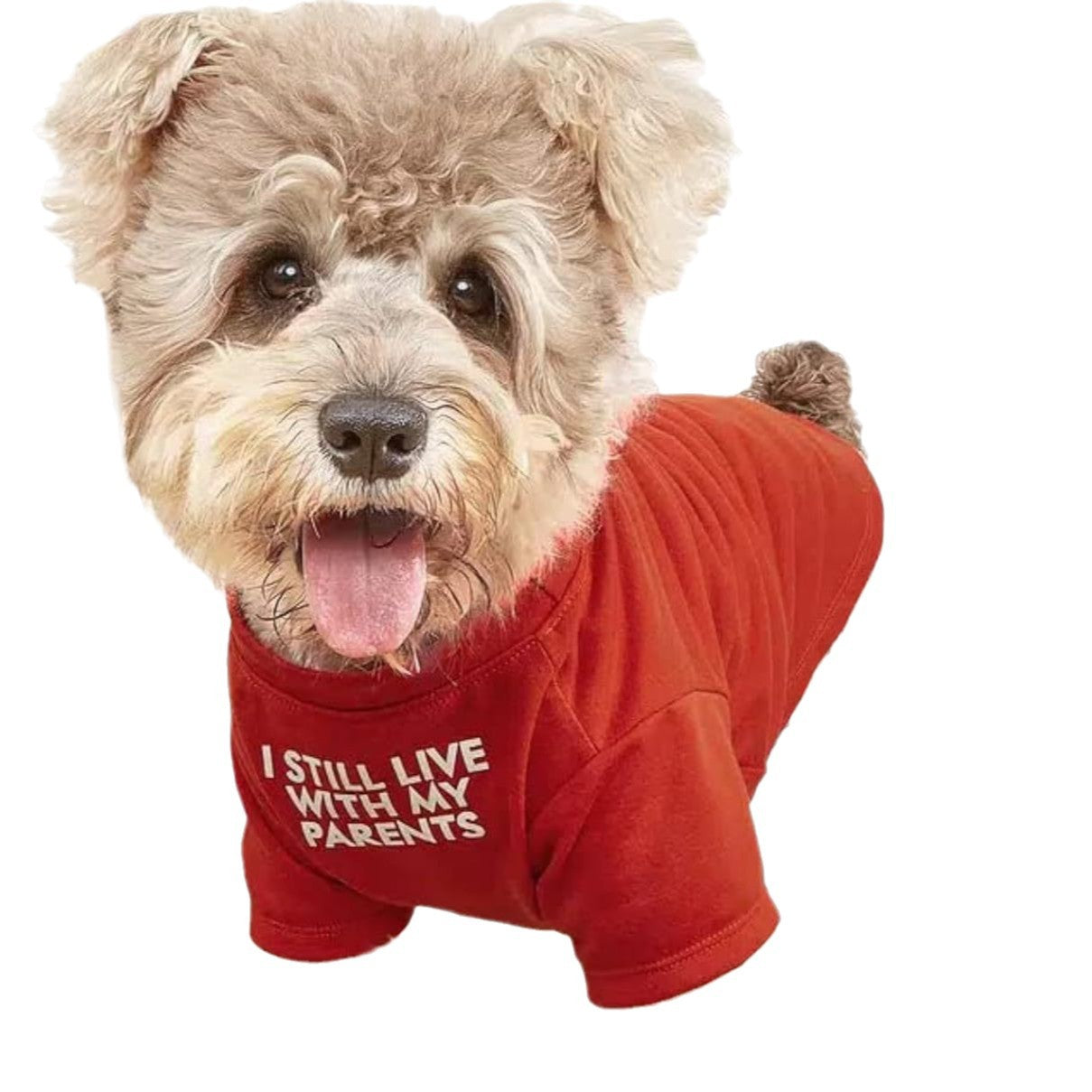 Novelty Pet T-Shirt