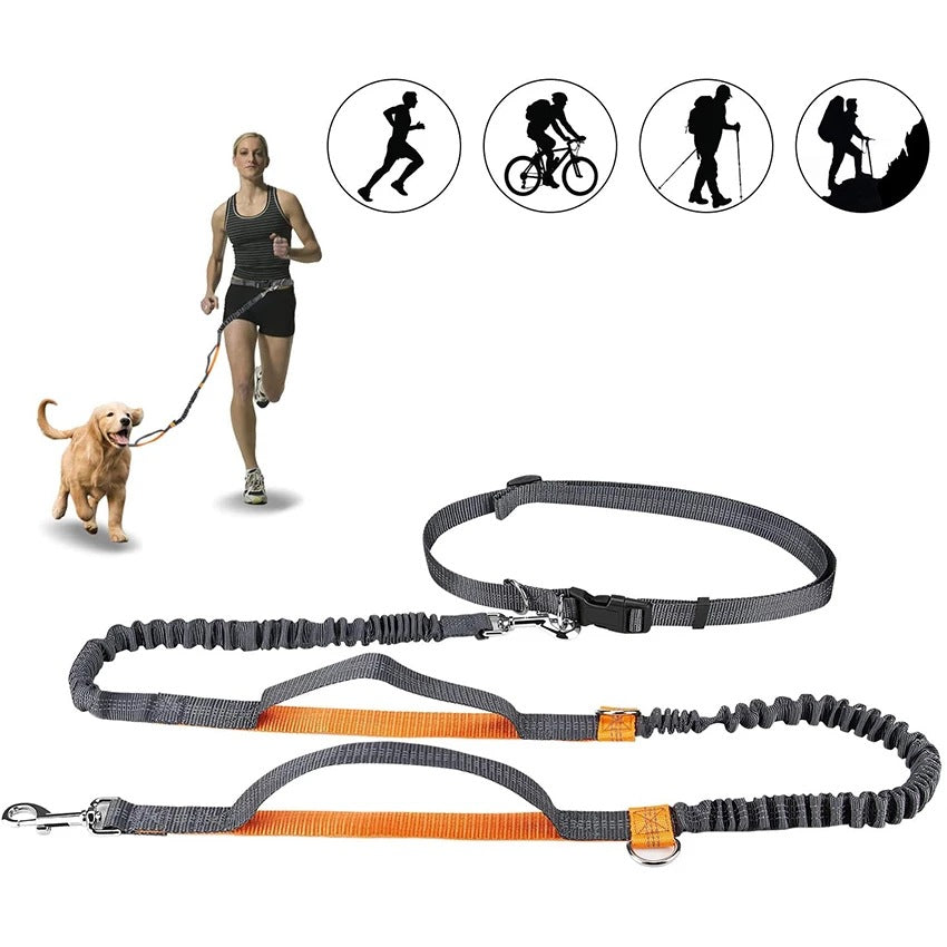 Adjustable Jogging Pet Harness Collar Control Leash